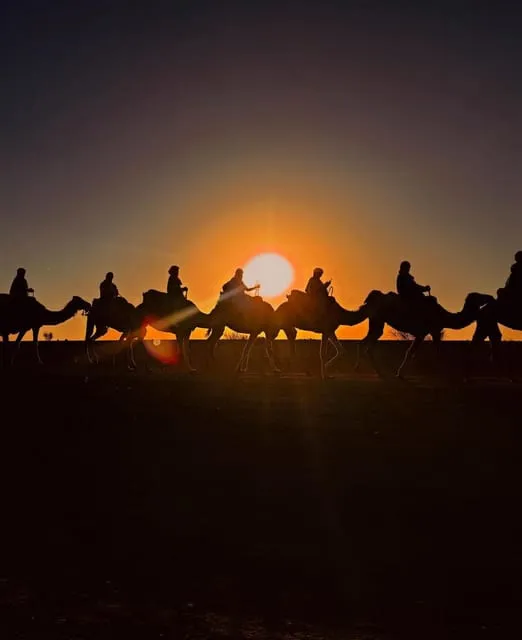 Agafay Desert Adventure image 6